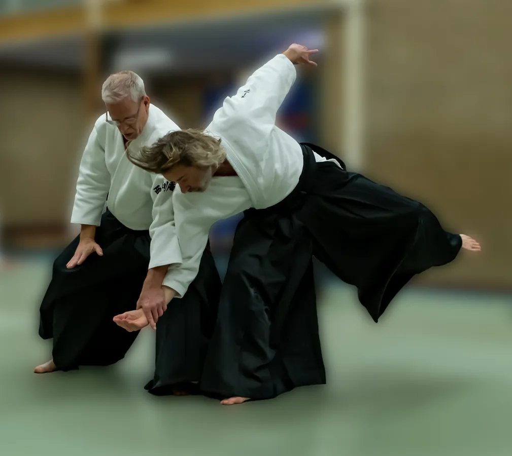 Aikidoles bij Ima Juku in Baarn