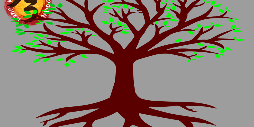 Nieuwe blog – Hoe veerkrachtig is de boom?
